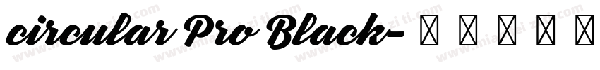 circular Pro Black字体转换